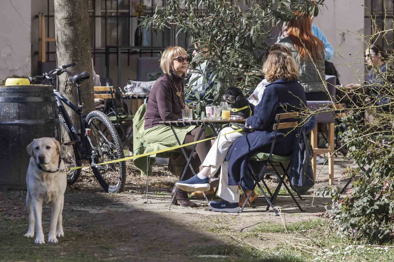 Sunčana šetnja Sunčana šetnja