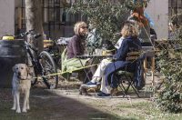 Sunčana šetnja Sunčana šetnja