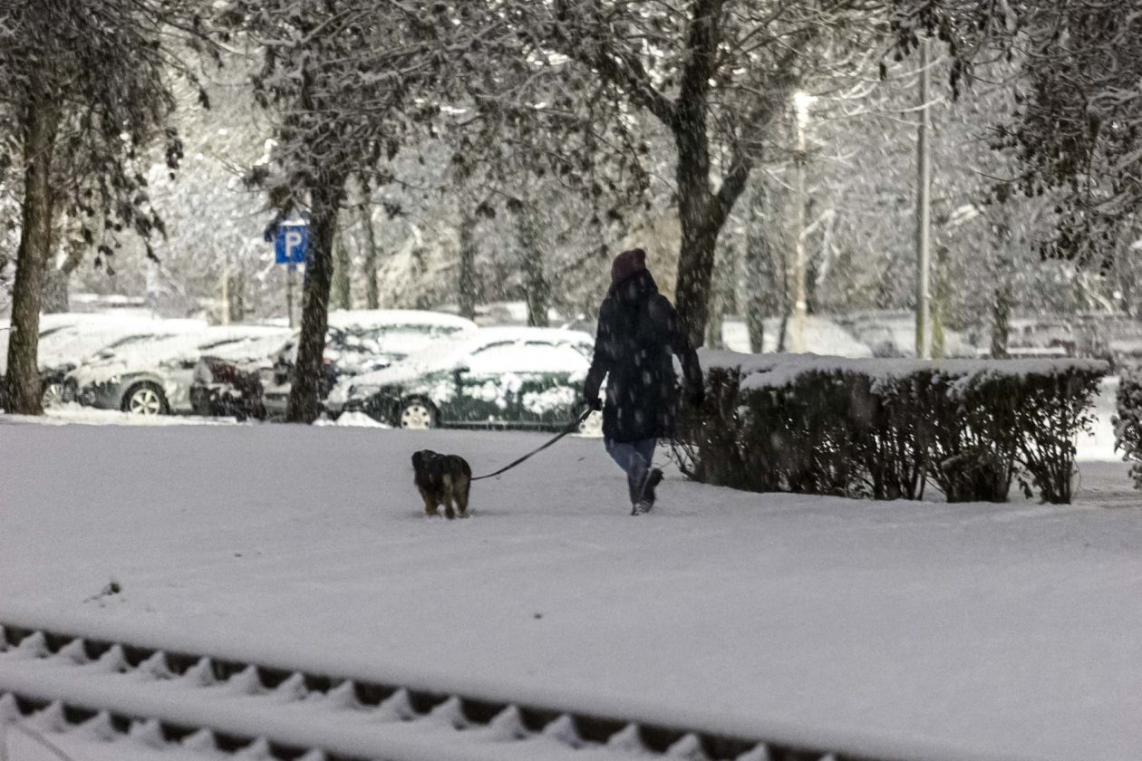 Prvi snijeg 2026-14 Prvi snijeg 2026-14