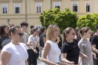 quadrilla proba 2026