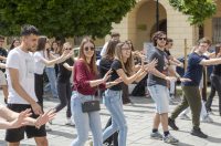 Quadrilla_III_2026 Quadrilla_III_2026