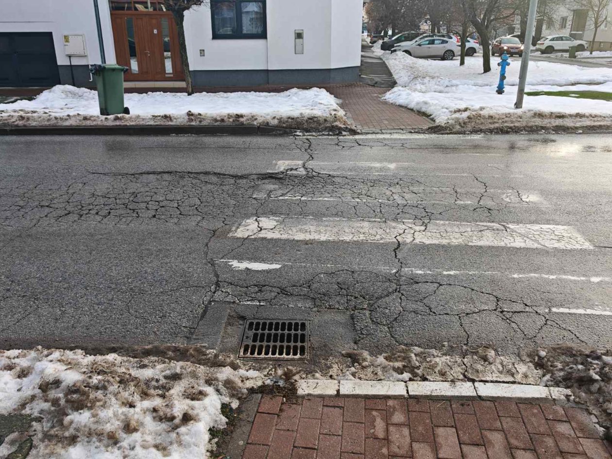 Reisnerova ulica (10)