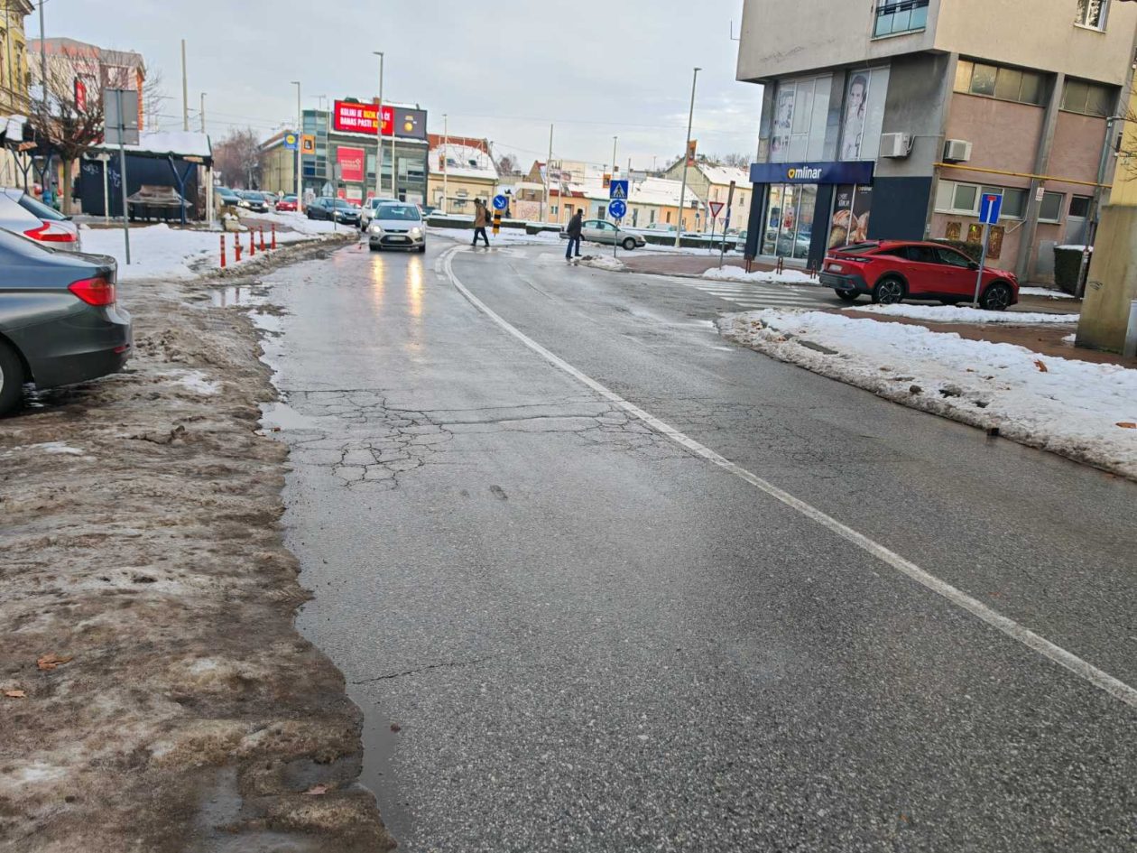 Reisnerova ulica (18)