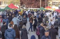 Sajam antikviteta i kerovci_11_04_SiB_HR-10 Sajam antikviteta i kerovci_11_04_SiB_HR-10