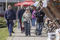 Sajam antikviteta i kerovci_11_04_SiB_HR-20 Sajam antikviteta i kerovci_11_04_SiB_HR-20