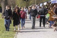 Sajam antikviteta i kerovci_11_04_SiB_HR-26 Sajam antikviteta i kerovci_11_04_SiB_HR-26