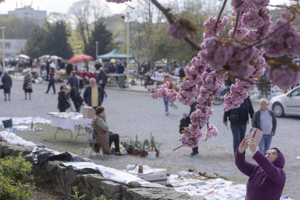 Sajam antikviteta i kerovci_11_04_SiB_HR-35 Sajam antikviteta i kerovci_11_04_SiB_HR-35