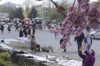 Sajam antikviteta i kerovci_11_04_SiB_HR-35 Sajam antikviteta i kerovci_11_04_SiB_HR-35