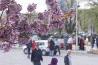 Sajam antikviteta i kerovci_11_04_SiB_HR-36 Sajam antikviteta i kerovci_11_04_SiB_HR-36