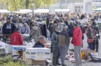 Sajam antikviteta i kerovci_11_04_SiB_HR-38 Sajam antikviteta i kerovci_11_04_SiB_HR-38