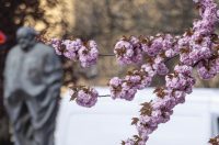 Sajam antikviteta i kerovci_11_04_SiB_HR-42 Sajam antikviteta i kerovci_11_04_SiB_HR-42