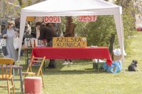 Sajam antikviteta i kerovci_11_04_SiB_HR-55 Sajam antikviteta i kerovci_11_04_SiB_HR-55