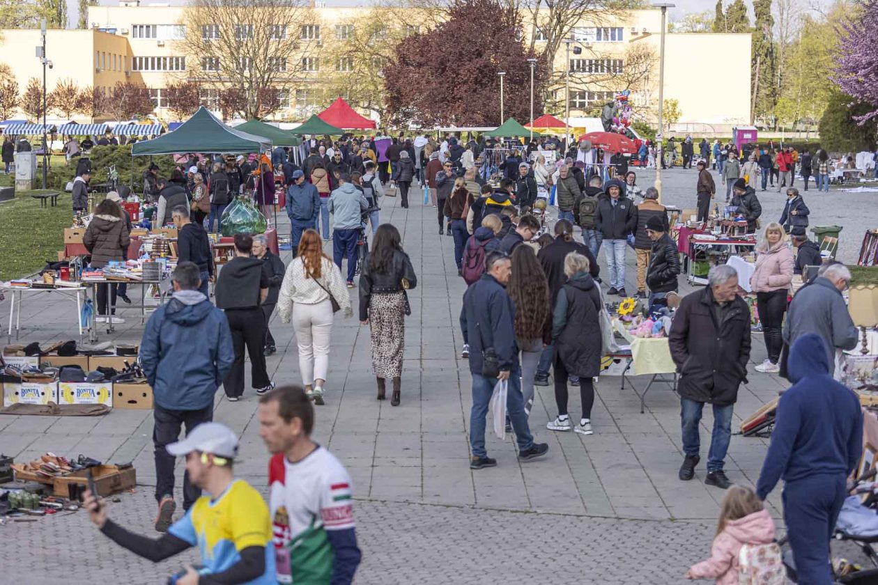 Sajam antikviteta i kerovci_11_04_SiB_HR-8 Sajam antikviteta i kerovci_11_04_SiB_HR-8