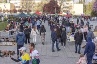 Sajam antikviteta i kerovci_11_04_SiB_HR-8 Sajam antikviteta i kerovci_11_04_SiB_HR-8