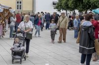 sajam antikviteta lipanj 2026 sajam antikviteta lipanj 2026