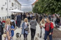 sajam antikviteta lipanj 2026 sajam antikviteta lipanj 2026