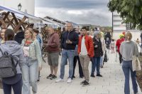 sajam antikviteta lipanj 2026 sajam antikviteta lipanj 2026