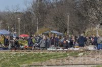 Sajam_antikviteta_03_2026