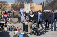 Sajam_antikviteta_03_2026