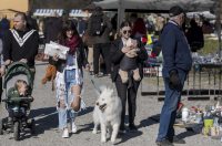 Sajam_antikviteta_03_2026