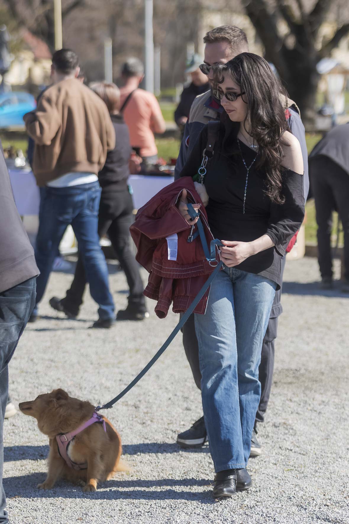 Sajam_antikviteta_03_2026