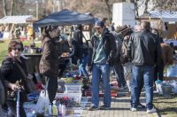 Sajam_antikviteta_03_2026