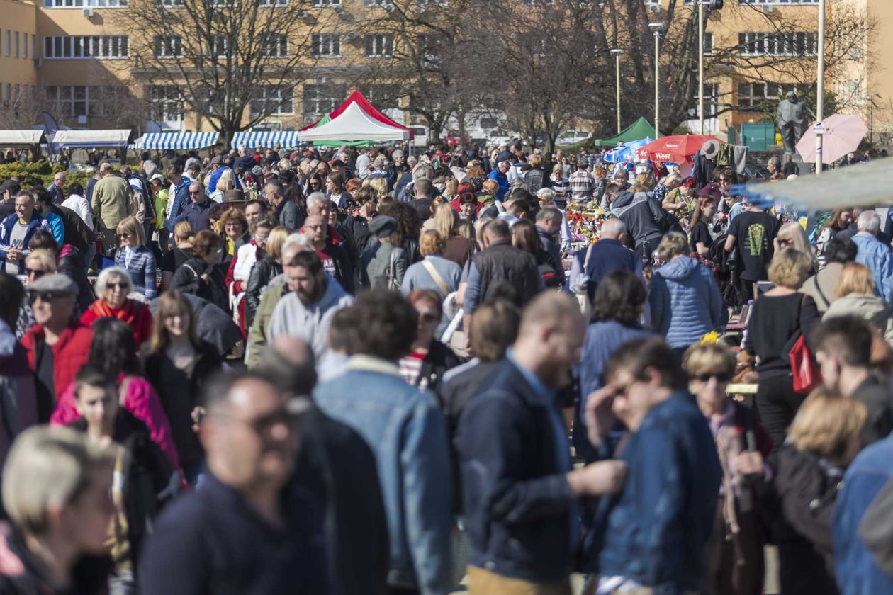 Sajam_antikviteta_03_2026