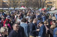 Sajam_antikviteta_03_2026