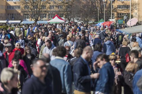 Sajam_antikviteta_03_2026