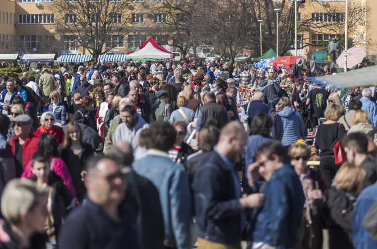 Sajam_antikviteta_03_2026