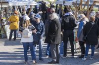 Sajam_antikviteta_03_2026