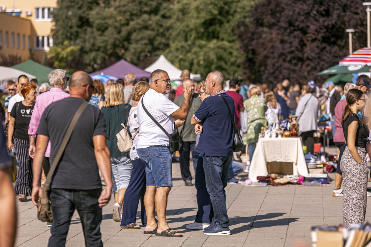 Sajam antikviteta, rujan 2025. Sajam antikviteta, rujan 2025.