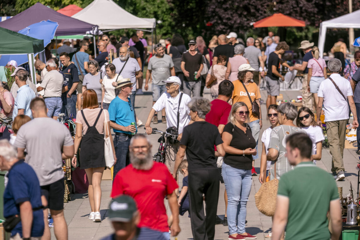 Sajam_antik_08_2025 Sajam_antik_08_2025