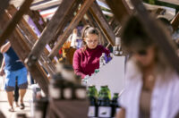 Sajam antikviteta, rujan 2025. Sajam antikviteta, rujan 2025.