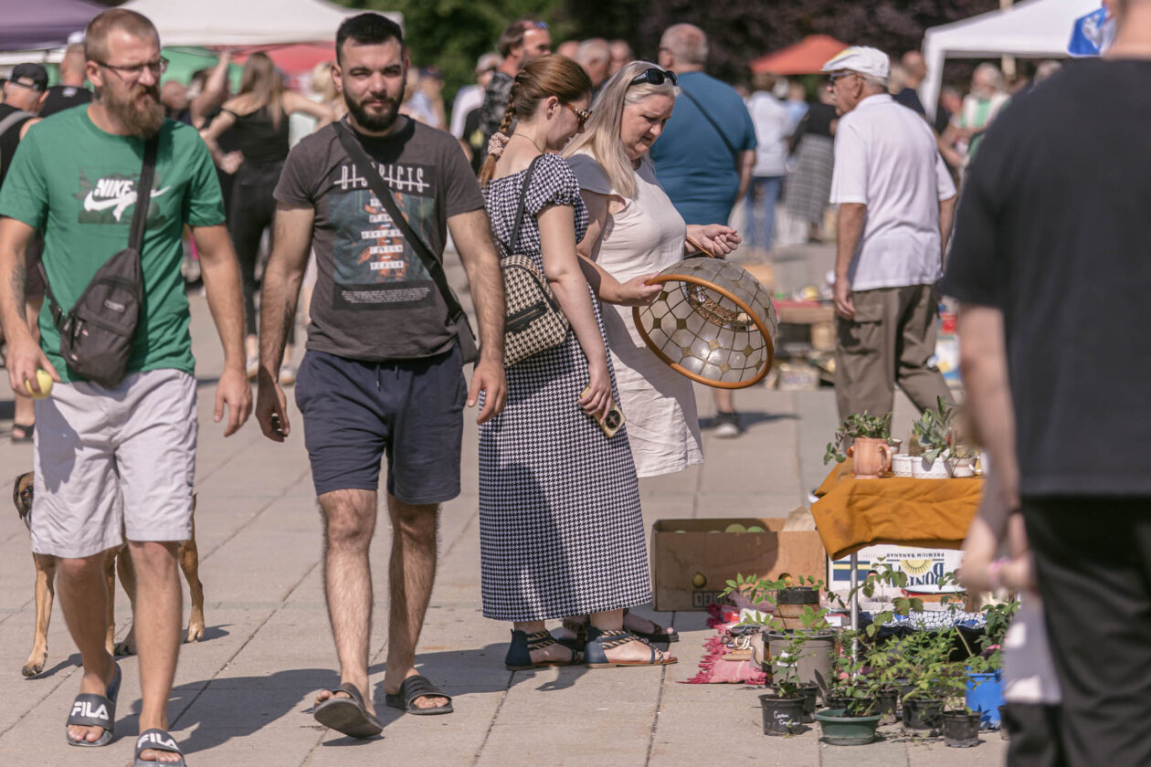 Sajam_antik_08_2025 Sajam_antik_08_2025