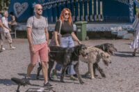 Sajam_antik_08_2025 Sajam_antik_08_2025