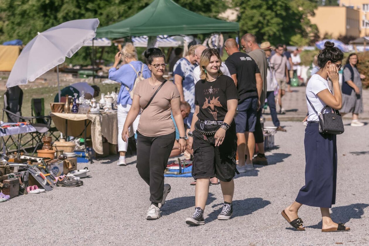 Sajam_antik_08_2025 Sajam_antik_08_2025