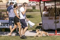 Sajam antikviteta, rujan 2025. Sajam antikviteta, rujan 2025.