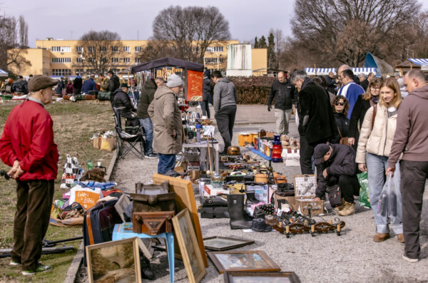 Sajam_ant_03_2025