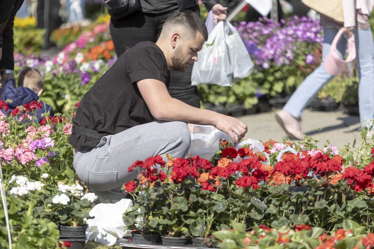 Sajam cvijeća 2026.