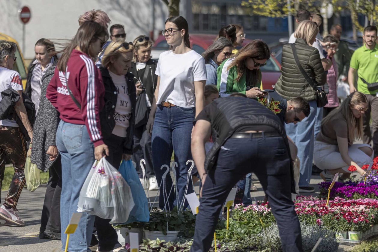 Sajam cvijeća 2026.