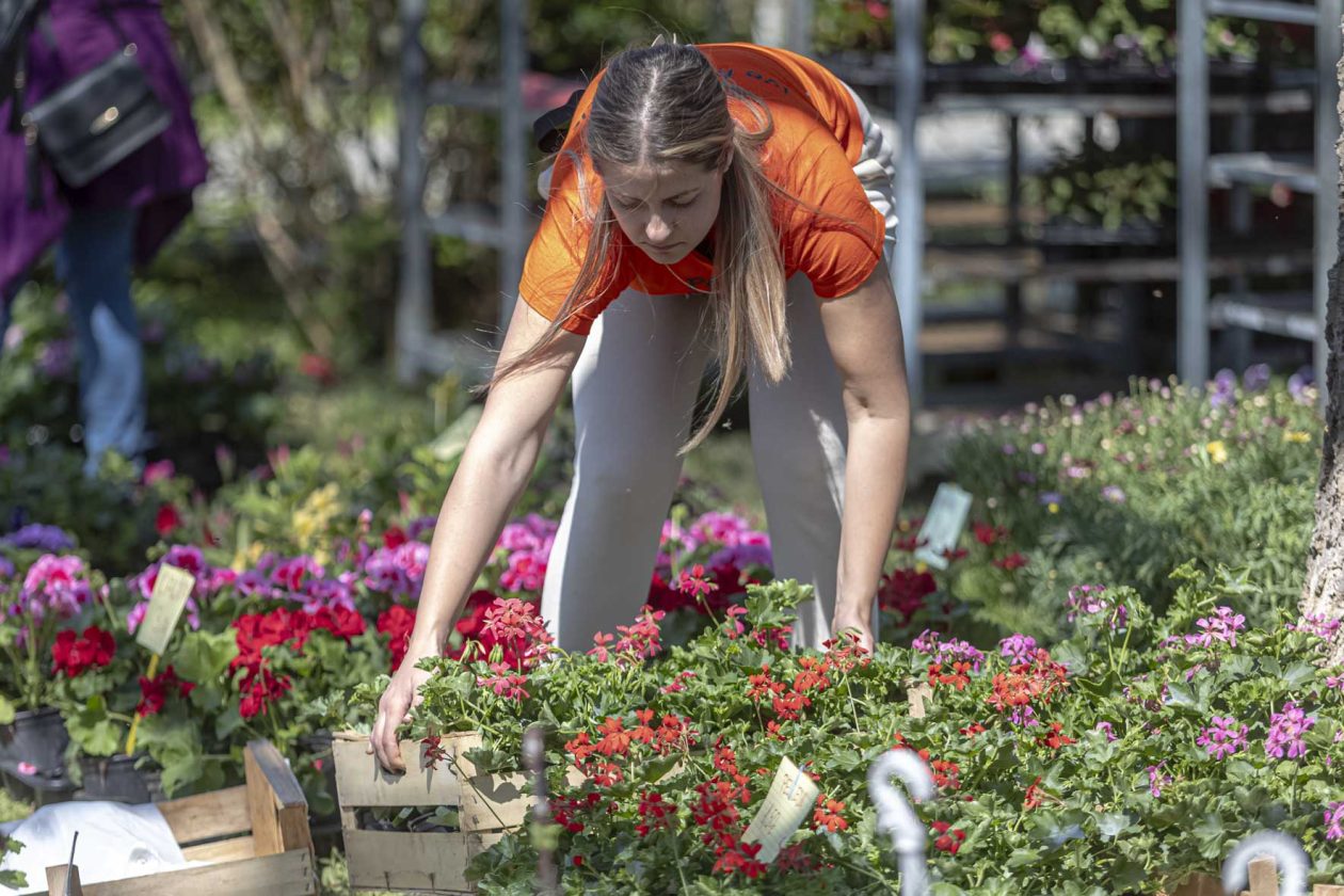 Sajam cvijeća 2026.
