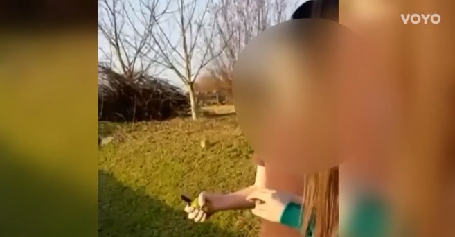 dabro bomba dabro bomba