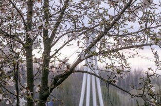 Šetnja poslije kiše