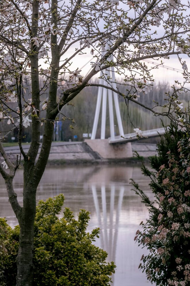 Šetnja poslije kiše