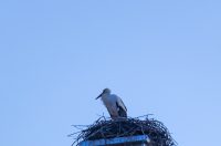 Setnja_14_03_2026 Setnja_14_03_2026