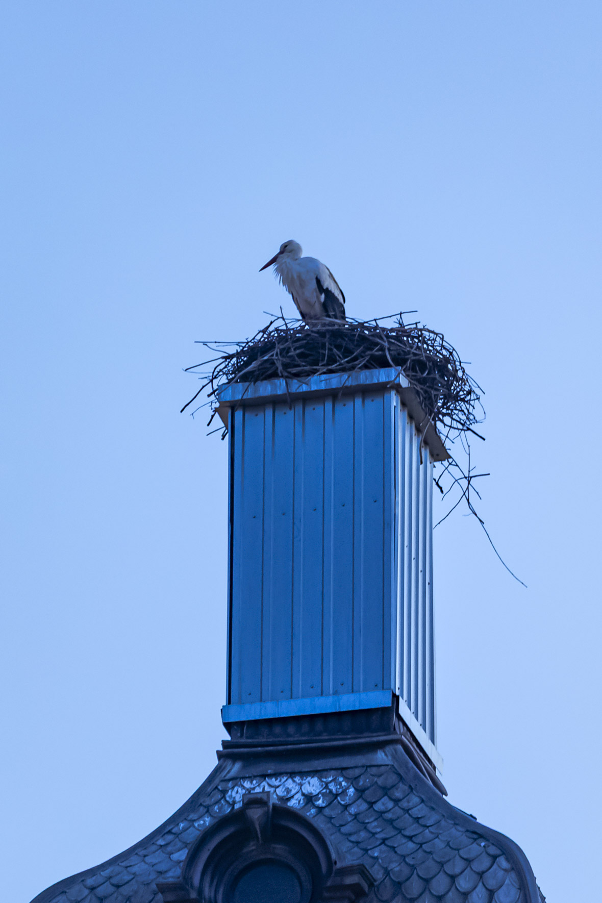 Setnja_14_03_2026 Setnja_14_03_2026