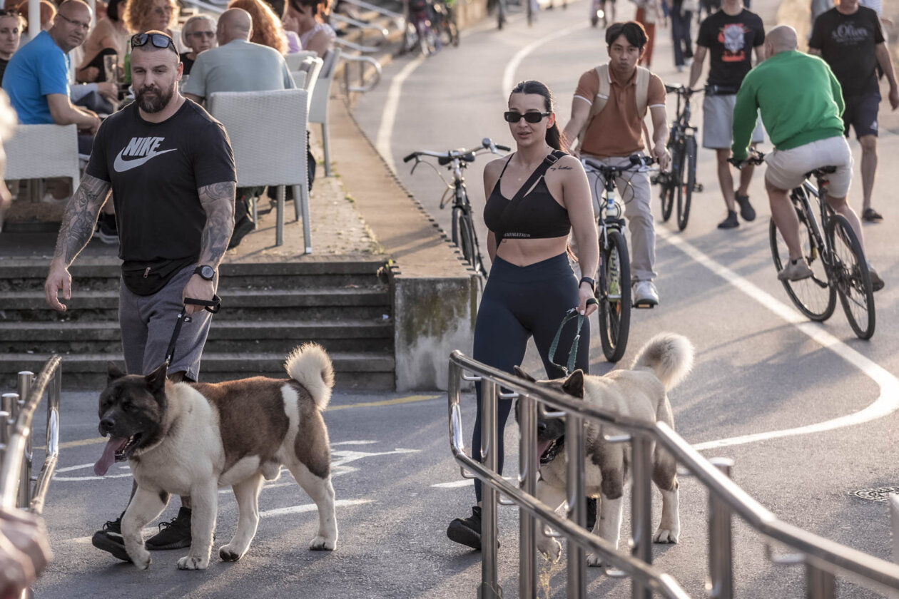 Nedjeljna šetnja, 4.5.2025. Nedjeljna šetnja, 4.5.2025.