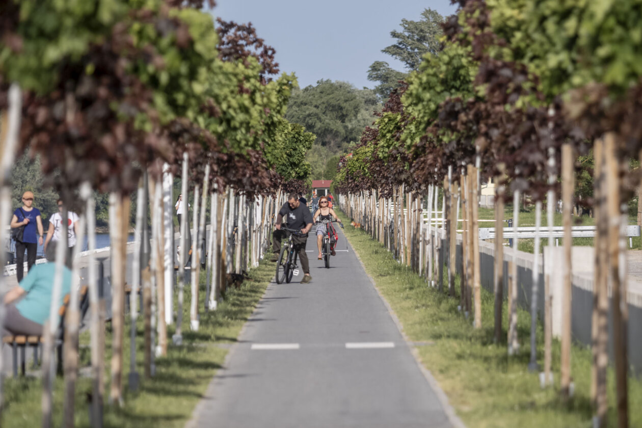 Nedjeljna šetnja, 4.5.2025. Nedjeljna šetnja, 4.5.2025.