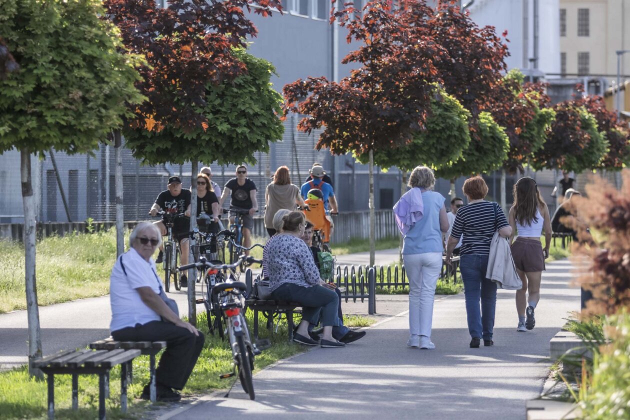 Nedjeljna šetnja, 4.5.2025. Nedjeljna šetnja, 4.5.2025.